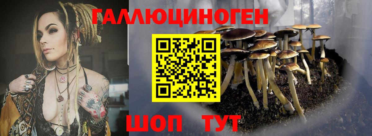 Рязань  Галлюциногенные грибы ЛСД  Вход с VPN  Галлюциногенные грибы прущие грибы 